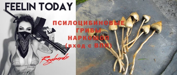 ешки Бородино