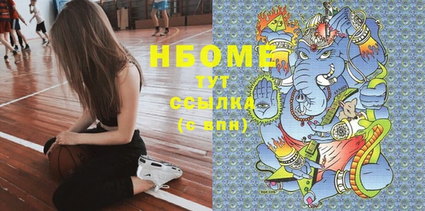 ешки Бородино