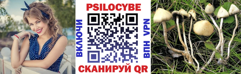 что такое   Ангарск  Галлюциногенные грибы GOLDEN TEACHER 