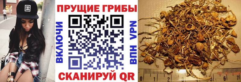 Псилоцибиновые грибы Magic Shrooms Ангарск